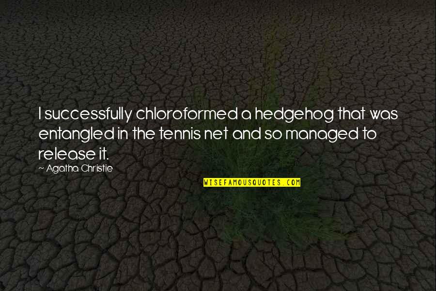 Rosengard And Associates Quotes By Agatha Christie: I successfully chloroformed a hedgehog that was entangled Rosengard And Associates Quotes By Agatha Christie: I successfully chloroformed a hedgehog that was entangled