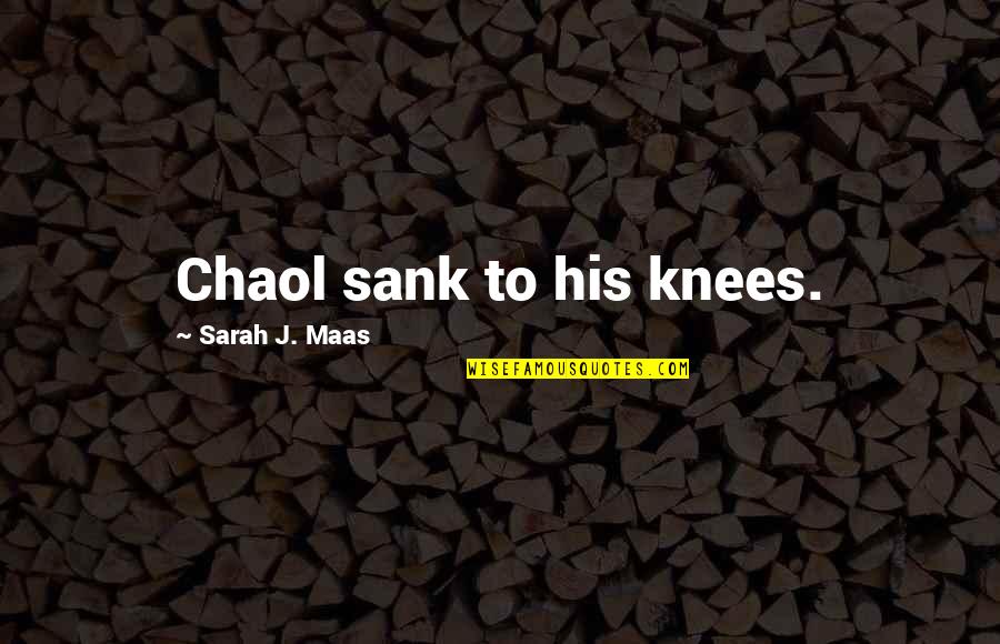 Rosenkrantz Dentist Quotes By Sarah J. Maas: Chaol sank to his knees.