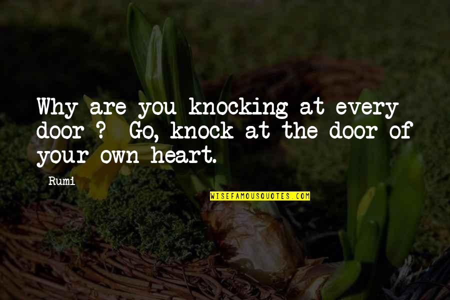 Rosenstand Moral Of The Story Quotes By Rumi: Why are you knocking at every door ?