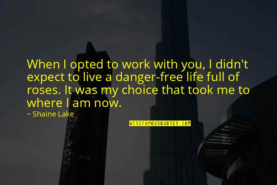 Roses And Life Quotes By Shaine Lake: When I opted to work with you, I