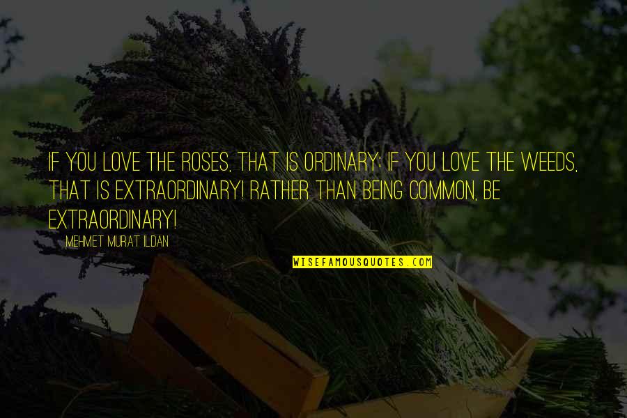 Roses And Love Quotes By Mehmet Murat Ildan: If you love the roses, that is ordinary;