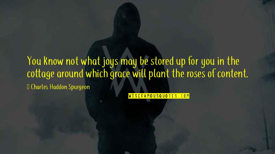 Roses Quotes By Charles Haddon Spurgeon: You know not what joys may be stored