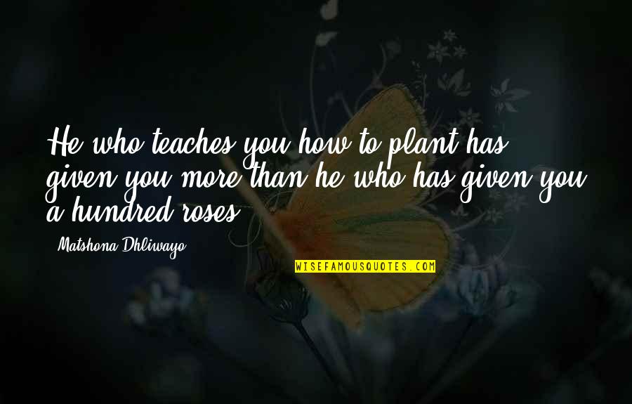 Roses Quotes By Matshona Dhliwayo: He who teaches you how to plant has