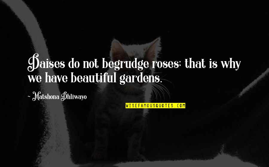 Roses You Are So Beautiful Quotes By Matshona Dhliwayo: Daises do not begrudge roses; that is why Roses You Are So Beautiful Quotes By Matshona Dhliwayo: Daises do not begrudge roses; that is why