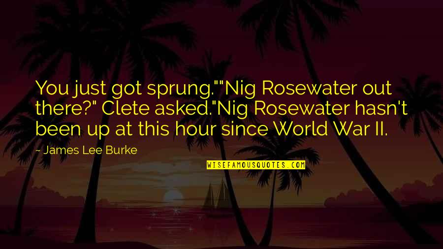 Rosewater Quotes By James Lee Burke: You just got sprung.""Nig Rosewater out there?" Clete