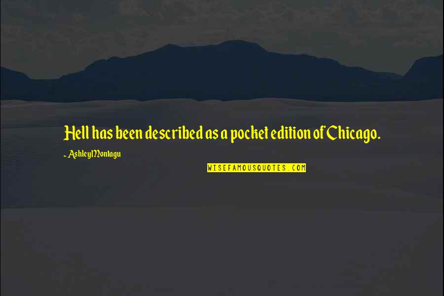 Rosezetta Gunner Quotes By Ashley Montagu: Hell has been described as a pocket edition Rosezetta Gunner Quotes By Ashley Montagu: Hell has been described as a pocket edition