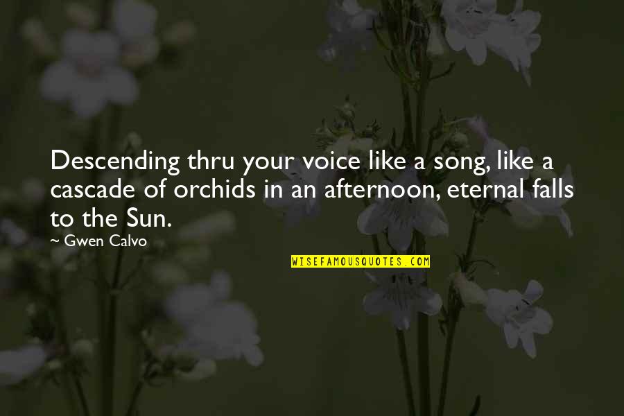Roshanara Ebrahim Quotes By Gwen Calvo: Descending thru your voice like a song, like Roshanara Ebrahim Quotes By Gwen Calvo: Descending thru your voice like a song, like