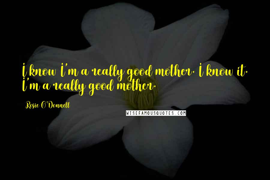 Rosie O'Donnell quotes: I know I'm a really good mother. I know it. I'm a really good mother.