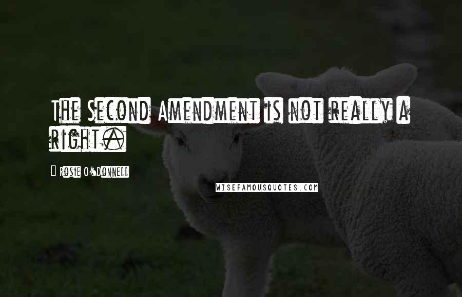 Rosie O'Donnell quotes: The Second Amendment is not really a right.