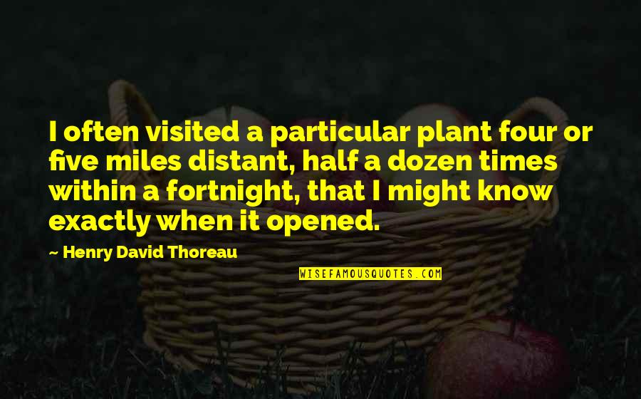 Rosie Project Quotes By Henry David Thoreau: I often visited a particular plant four or