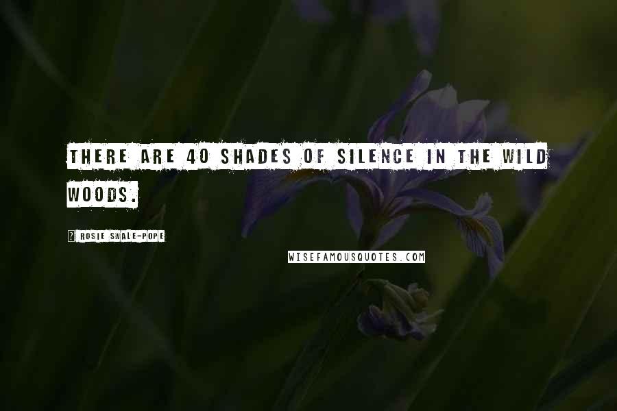 Rosie Swale-Pope quotes: There are 40 shades of silence in the wild woods.