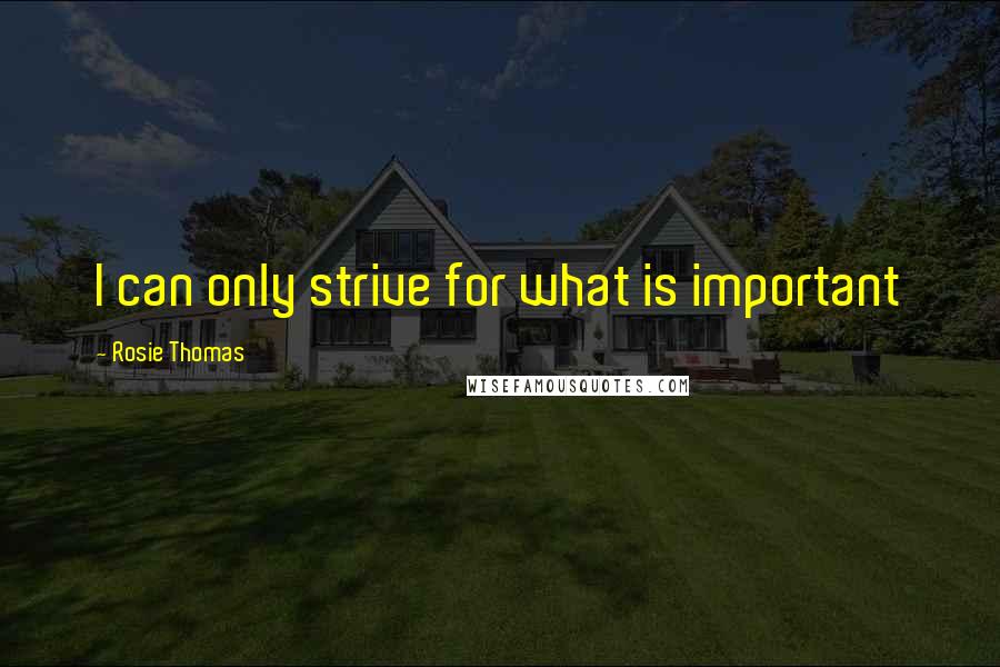 Rosie Thomas quotes: I can only strive for what is important