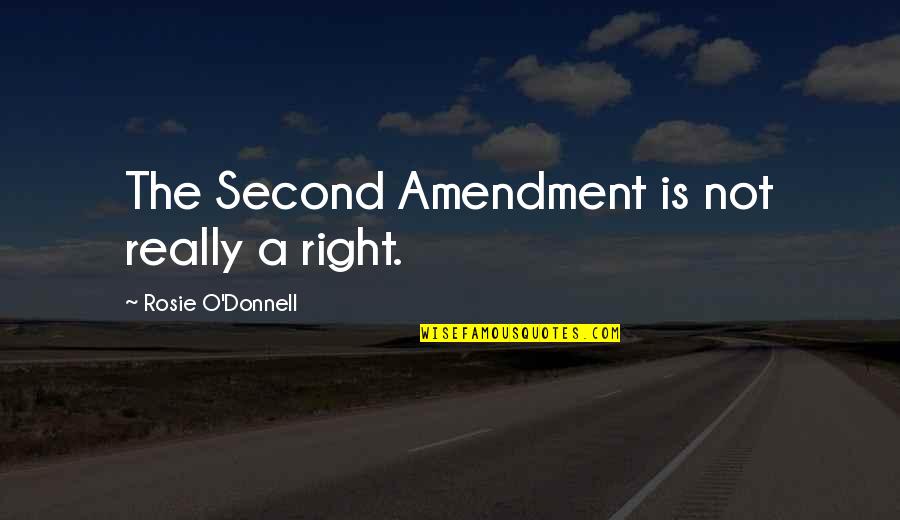 Rosie's Quotes By Rosie O'Donnell: The Second Amendment is not really a right.
