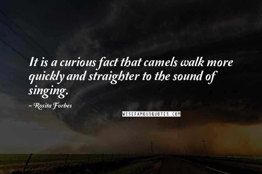 Rosita Forbes quotes: It is a curious fact that camels walk more quickly and straighter to the sound of singing.