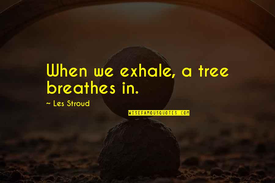 Roska Rep Quotes By Les Stroud: When we exhale, a tree breathes in. Roska Rep Quotes By Les Stroud: When we exhale, a tree breathes in.