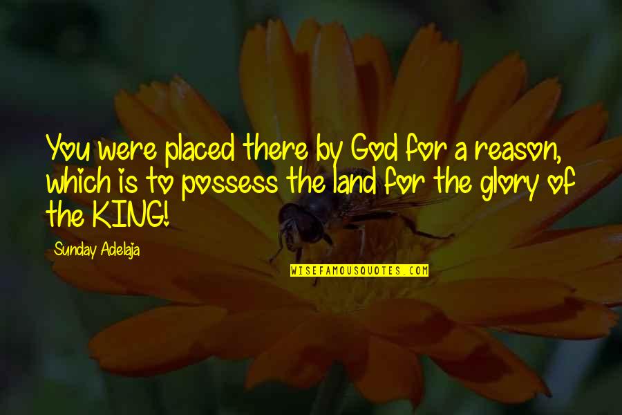 Rosr Quotes By Sunday Adelaja: You were placed there by God for a Rosr Quotes By Sunday Adelaja: You were placed there by God for a