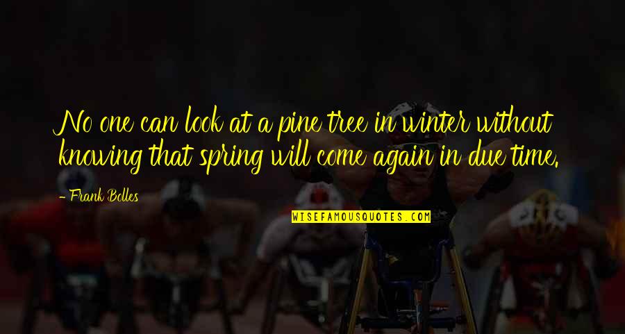 Ross Lovegrove Design Quotes By Frank Bolles: No one can look at a pine tree