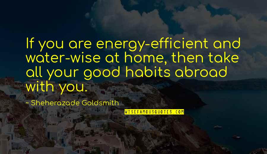 Ross Lyons Quotes By Sheherazade Goldsmith: If you are energy-efficient and water-wise at home,