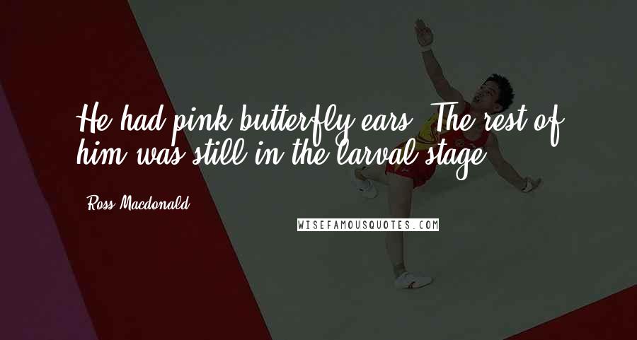 Ross Macdonald quotes: He had pink butterfly ears. The rest of him was still in the larval stage.