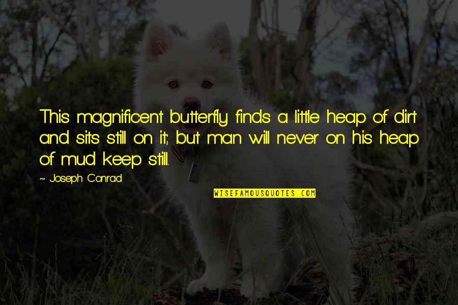 Rossion Quotes By Joseph Conrad: This magnificent butterfly finds a little heap of Rossion Quotes By Joseph Conrad: This magnificent butterfly finds a little heap of