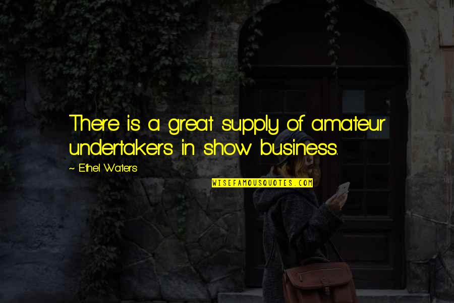 Rostomashvili Qeti Quotes By Ethel Waters: There is a great supply of amateur undertakers