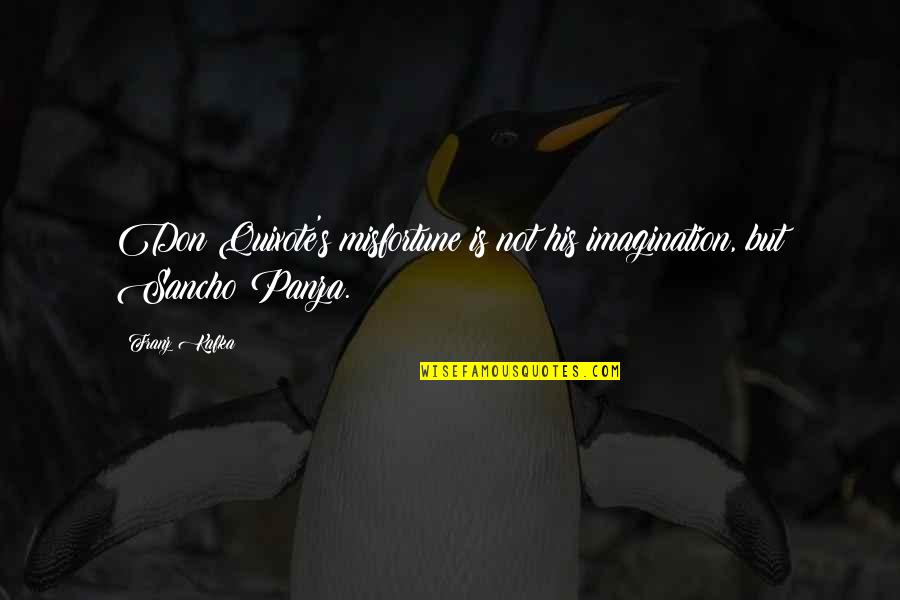 Rostomashvili Quotes By Franz Kafka: Don Quixote's misfortune is not his imagination, but