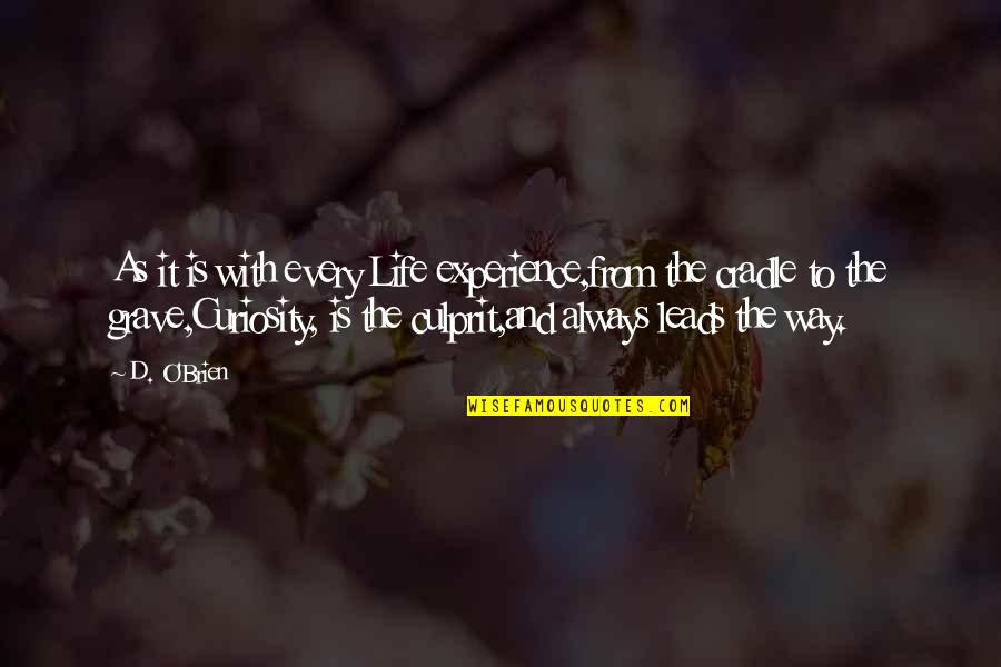Rotastat Quotes By D. O'Brien: As it is with every Life experience,from the Rotastat Quotes By D. O'Brien: As it is with every Life experience,from the