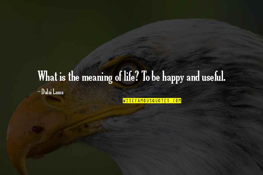 Rothbart Baranek Quotes By Dalai Lama: What is the meaning of life? To be Rothbart Baranek Quotes By Dalai Lama: What is the meaning of life? To be
