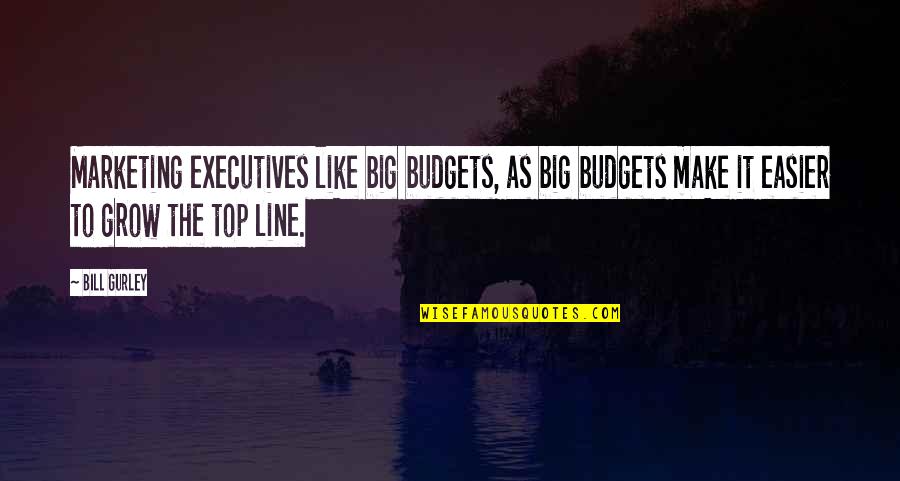 Rothfuss Doors Quotes By Bill Gurley: Marketing executives like big budgets, as big budgets