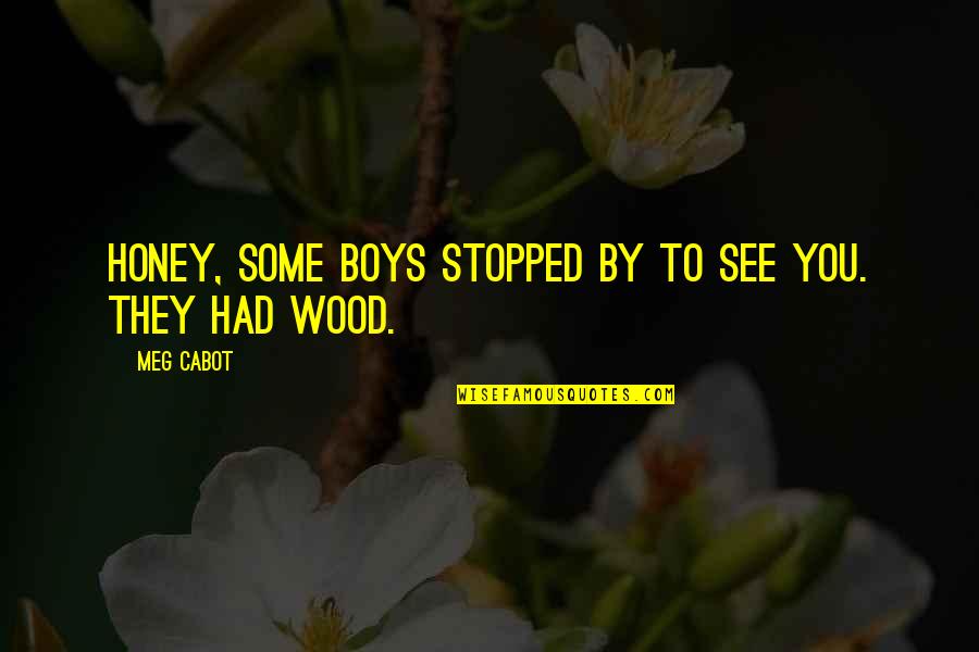 Rothhammer Beer Quotes By Meg Cabot: Honey, some boys stopped by to see you.
