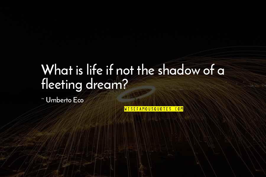 Rothhammer Beer Quotes By Umberto Eco: What is life if not the shadow of Rothhammer Beer Quotes By Umberto Eco: What is life if not the shadow of