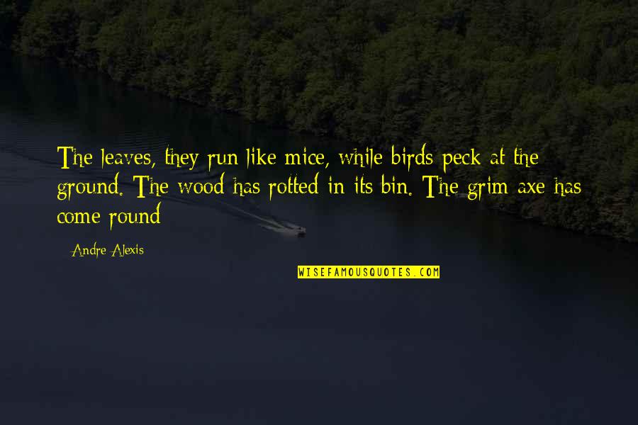 Rotted Quotes By Andre Alexis: The leaves, they run like mice, while birds