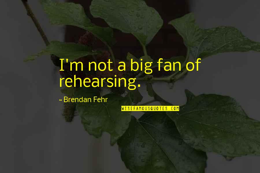 Rotten Soul Quotes By Brendan Fehr: I'm not a big fan of rehearsing.