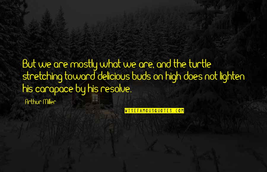 Rottenness Quotes By Arthur Miller: But we are mostly what we are, and