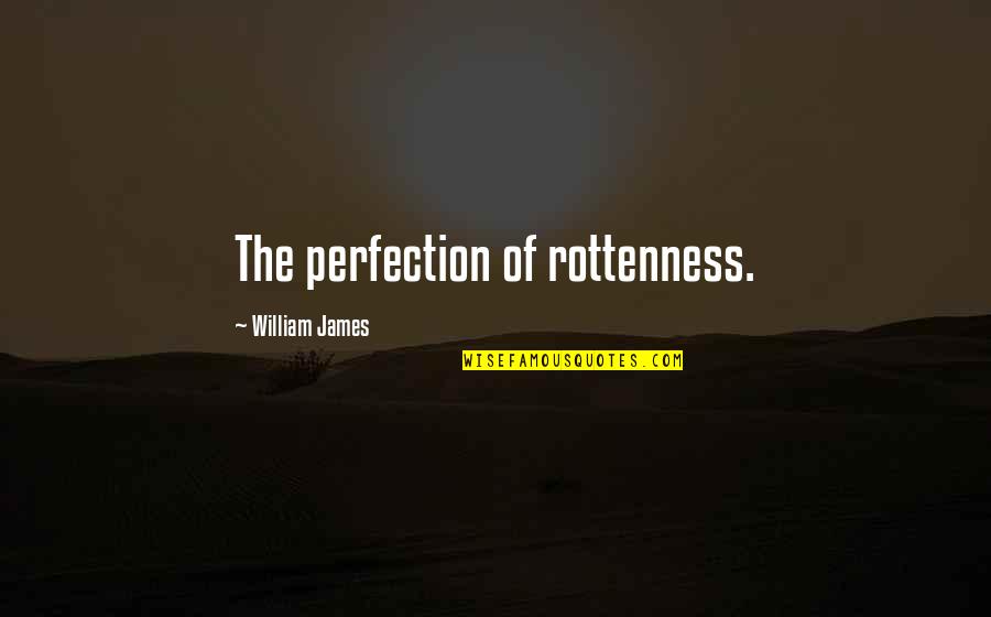Rottenness Quotes By William James: The perfection of rottenness.