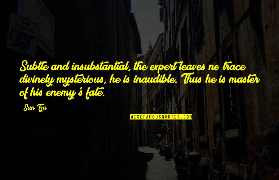 Roufus Mma Quotes By Sun Tzu: Subtle and insubstantial, the expert leaves no trace; Roufus Mma Quotes By Sun Tzu: Subtle and insubstantial, the expert leaves no trace;