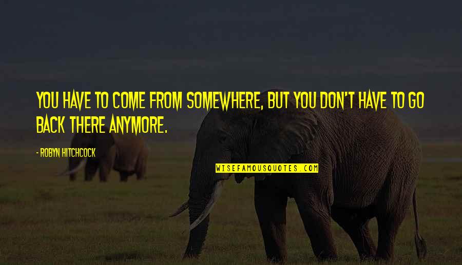 Rough Spots In Life Quotes By Robyn Hitchcock: You have to come from somewhere, but you
