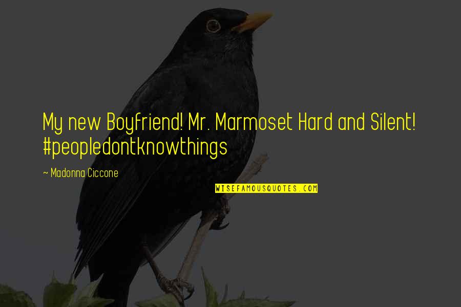 Roughen Synonym Quotes By Madonna Ciccone: My new Boyfriend! Mr. Marmoset Hard and Silent! Roughen Synonym Quotes By Madonna Ciccone: My new Boyfriend! Mr. Marmoset Hard and Silent!