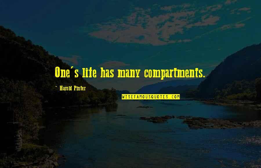 Roughened Quotes By Harold Pinter: One's life has many compartments.