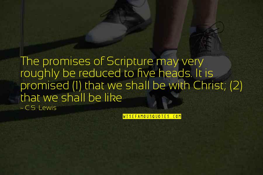 Roughly Quotes By C.S. Lewis: The promises of Scripture may very roughly be