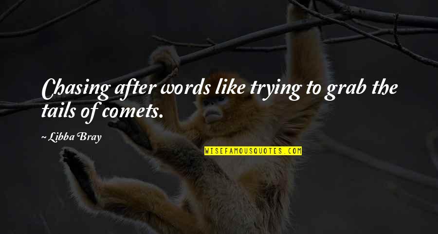 Rougir Passe Quotes By Libba Bray: Chasing after words like trying to grab the