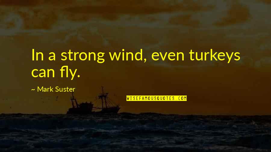 Rousseaueanism Quotes By Mark Suster: In a strong wind, even turkeys can fly.