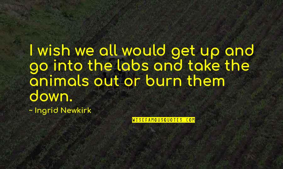 Rousseaus Philosophy Quotes By Ingrid Newkirk: I wish we all would get up and