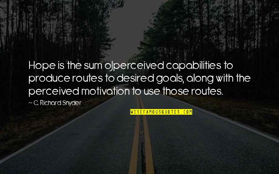 Routes Quotes By C. Richard Snyder: Hope is the sum oJperceived capabilities to produce