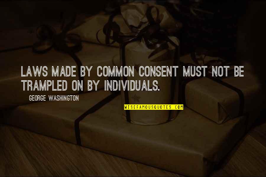 Routinization Examples Quotes By George Washington: Laws made by common consent must not be