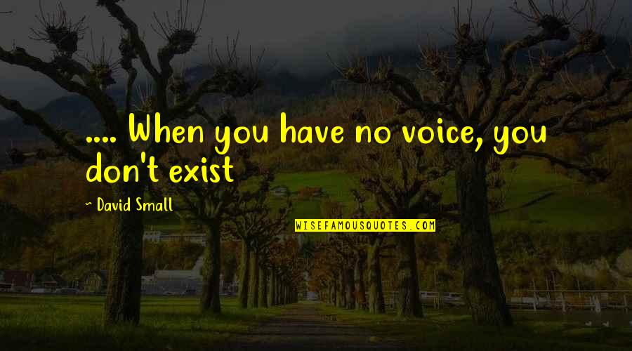 Routsis William Quotes By David Small: .... When you have no voice, you don't