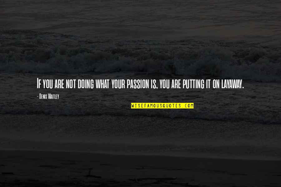 Roventini Cpa Quotes By Denis Waitley: If you are not doing what your passion