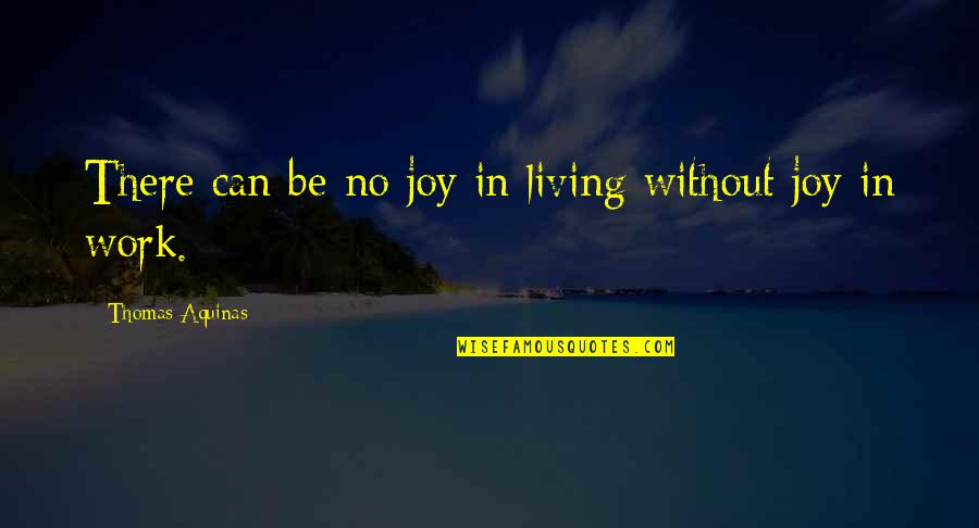 Rovinia Quotes By Thomas Aquinas: There can be no joy in living without