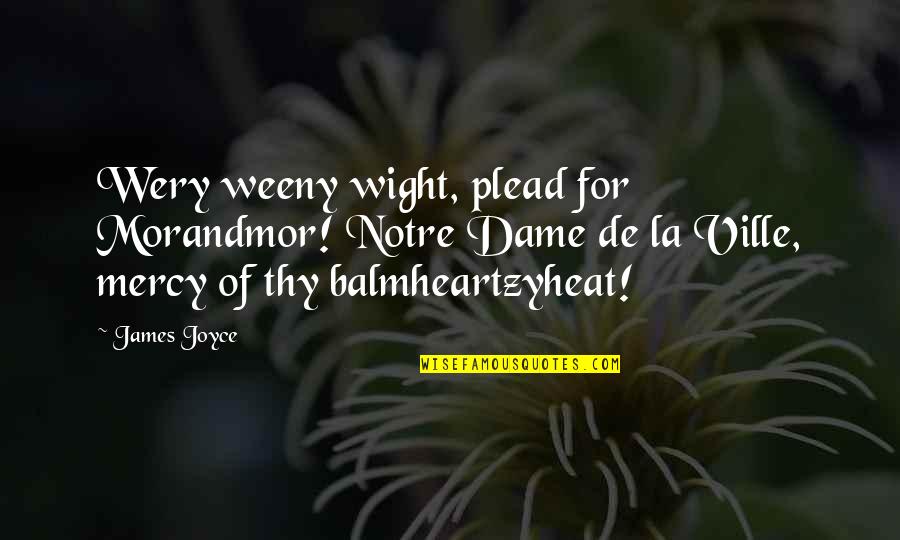 Rowaida Quotes By James Joyce: Wery weeny wight, plead for Morandmor! Notre Dame
