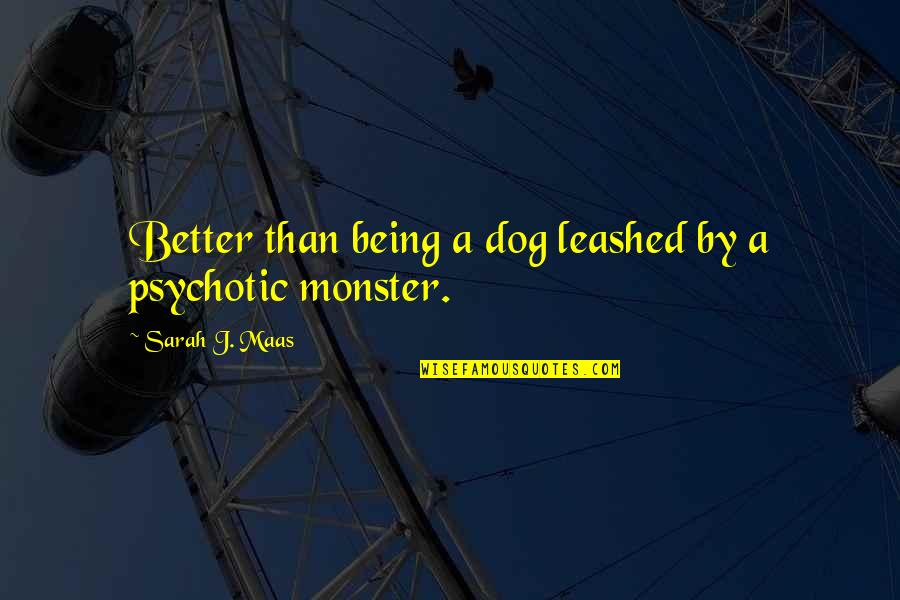 Rowan Quotes By Sarah J. Maas: Better than being a dog leashed by a Rowan Quotes By Sarah J. Maas: Better than being a dog leashed by a
